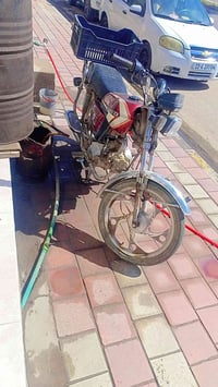 موزه • كلج • تطفه