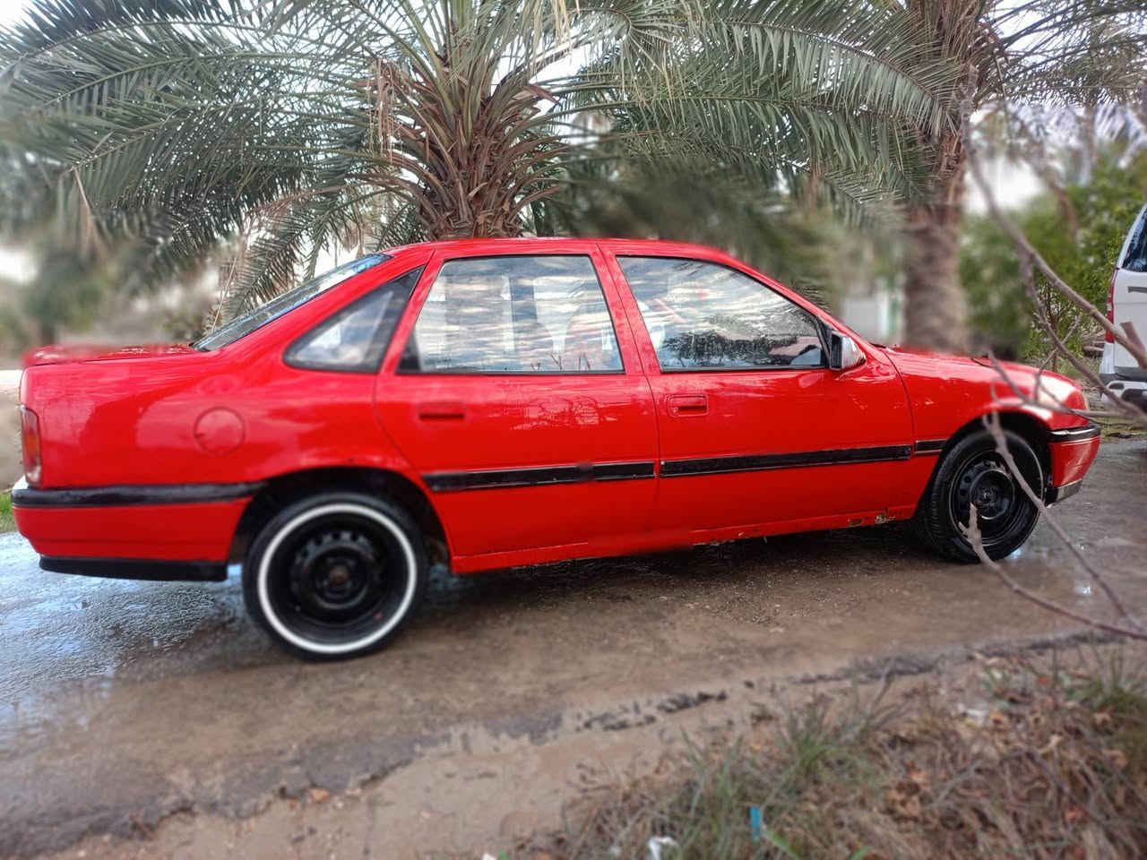 للبيع،، اوبل فكترا 1991 
رقم دولي ،قادسيه 
بسمي تحويل ثاني يوم
كير مكينه حداديه خير من الله 
 مصبوغه للجماليه فقط
السعر 26 وبيه مجال حك الجيه 
العنوان بابل قضاء القاسم
***********
***********
