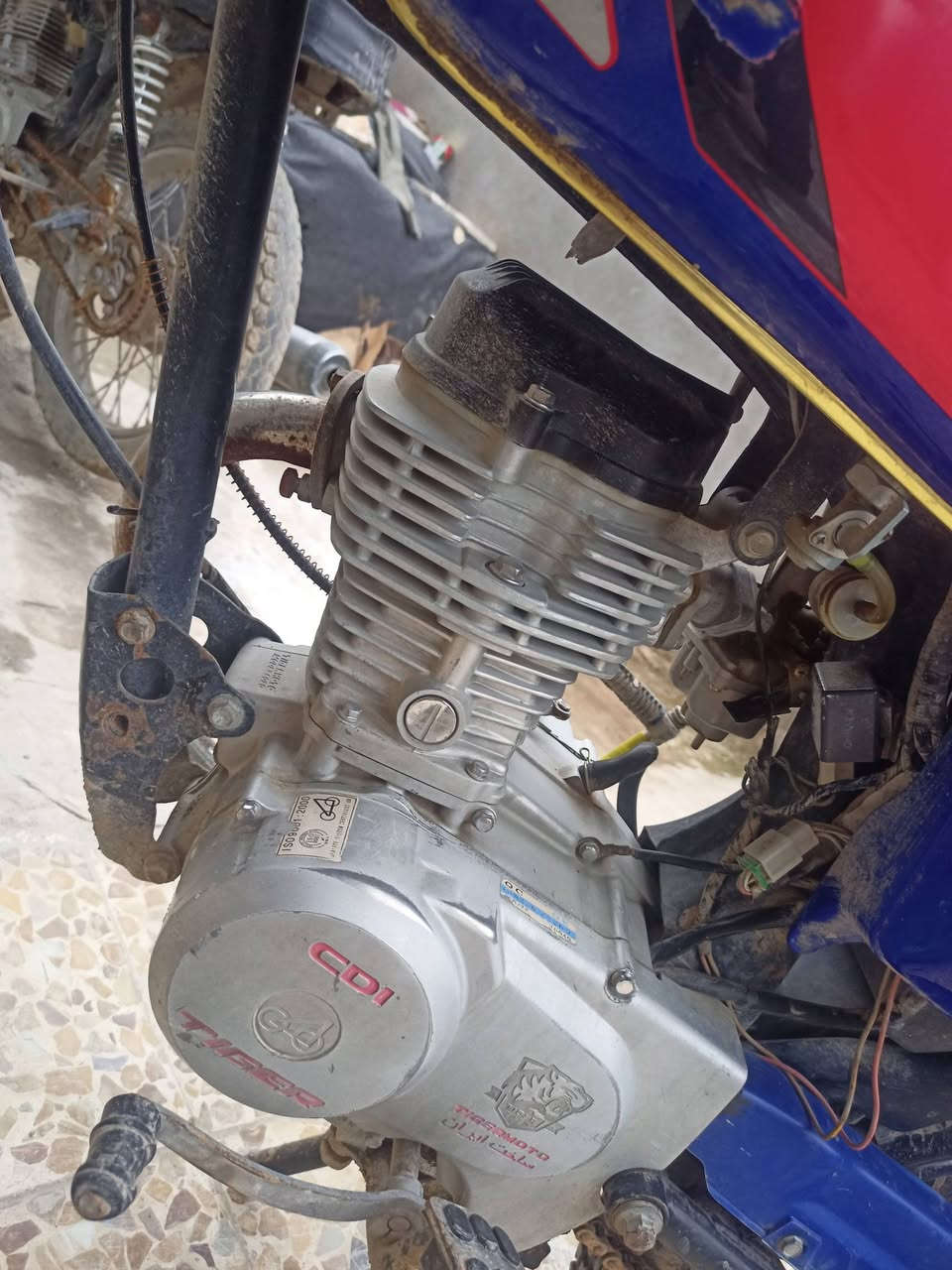 ماطور تايكر 2020 من شتريتو من صاحبو كال بس قبق الفيلسه مفتوح اني ابيعك مفتوح بس المحرك فول معدل وتحريكه نار اعارض بستوته وانطي فرق واذا بيع ب 320


**إذا كنت صاحب هذا الإعلان وتريد حذفه لأي سبب، رجاءا أرسل رسالة إلى الدعم الفني**