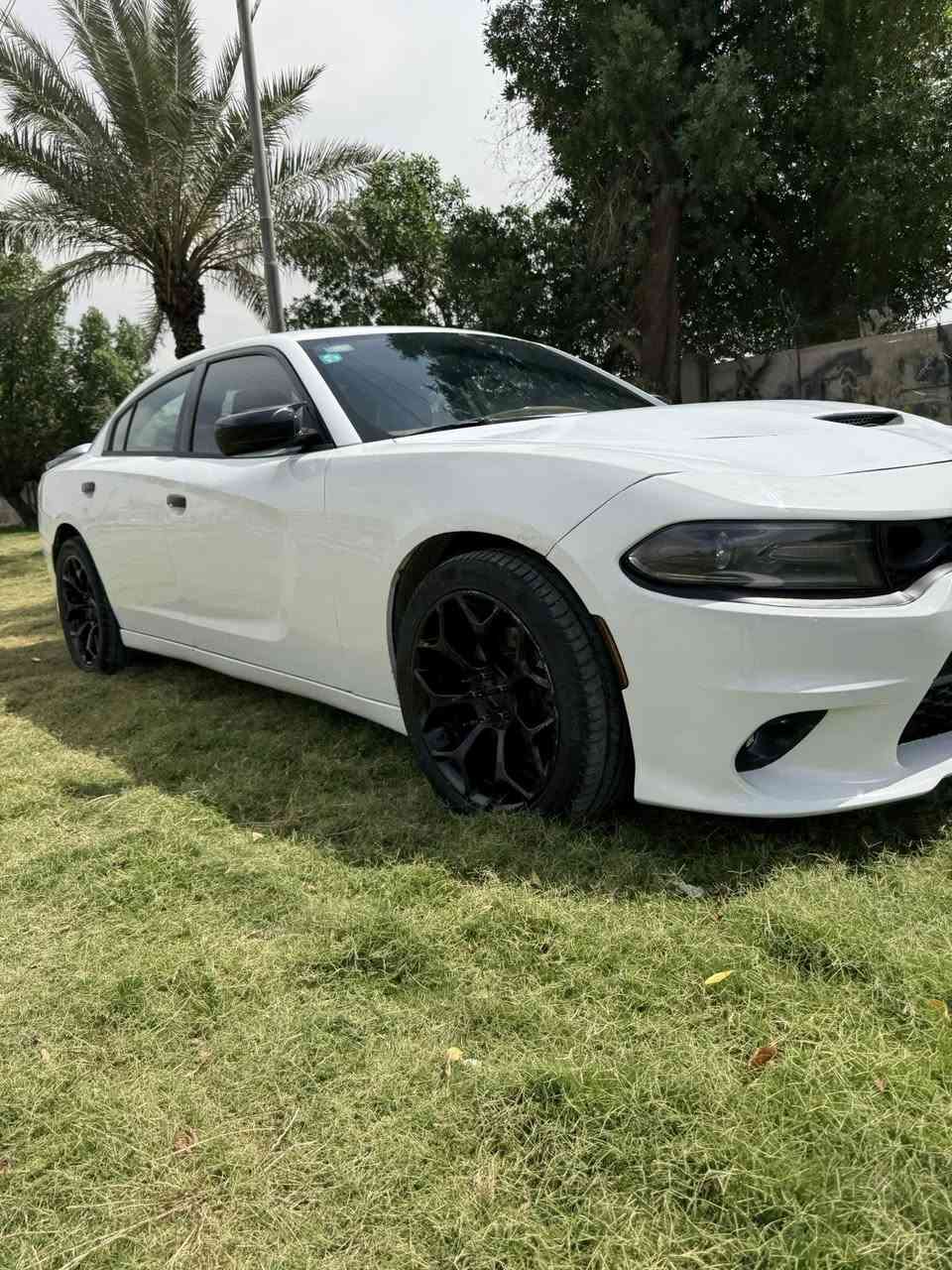 البيع او مراوس موديل 16 فووول عده فتحه سياره فور ويل ملغي حادثه. جاملغ. صبغ باب  خلف سائق كبير جاملغ خلفي شبر صبغ.


**إذا كنت صاحب هذا الإعلان وتريد حذفه لأي سبب، رجاءا أرسل رسالة إلى الدعم الفني**
