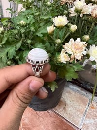 معطف • مرتب