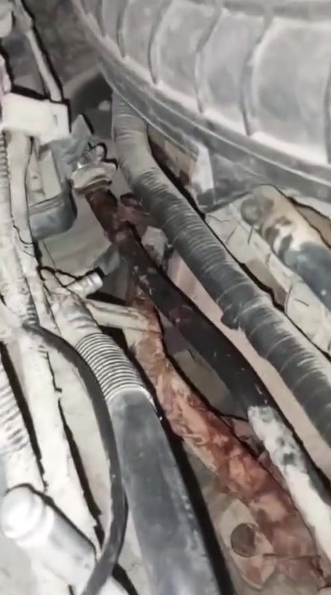 سلام عليكم 

دبه مال مي راديتر يوم لكيتها مخلصه عبيتها طلع عندي هذا بوري نضح بدايه ... يتعالج لو يتبدل واكدر احوره غير بوري لأن انا من بابل وشغل عندي وين يبيعونه 

موستنك 2012


**إذا كنت صاحب هذا الإعلان وتريد حذفه لأي سبب، رجاءا أرسل رسالة إلى الدعم الفني**