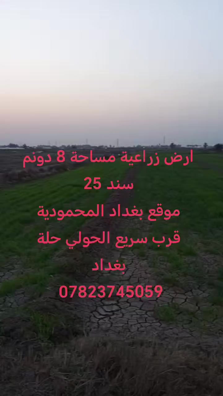 ارض زراعية للبيع مساحة 8 دونم سند 25
 سعر ٣٥ للدونم الواحد
بغداد المحمودية قرب سريع الحولي حلة بغداد
استفسار
***********-***********
#نستقبل_كافة_العروض_بيع_شراء
