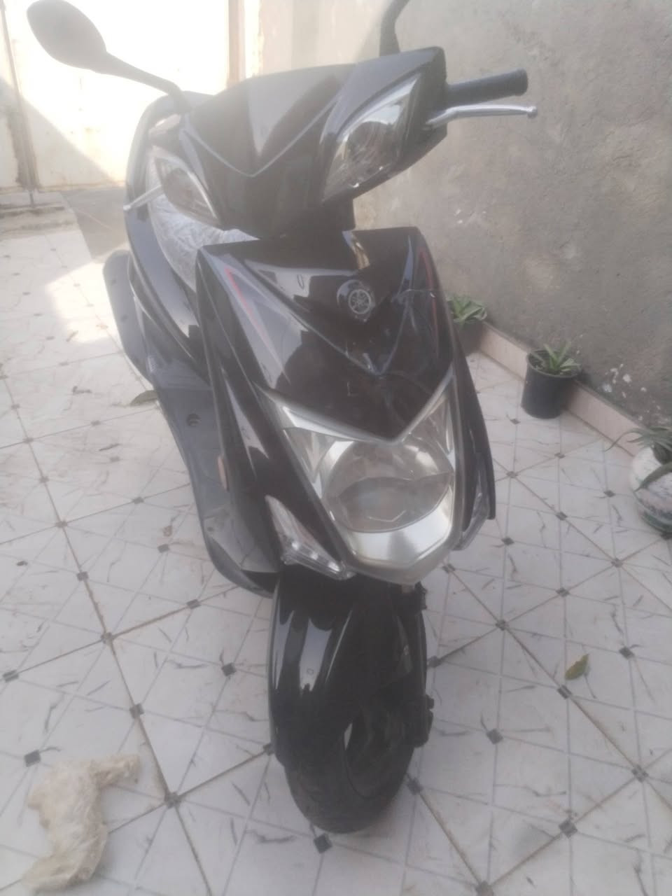 سكنس لد مكفوله محرك وكهربائيات أوراقه باسمي مال رمبه سعره مليون ٦٠٠ راسلني خاص واجاوب


**إذا كنت صاحب هذا الإعلان وتريد حذفه لأي سبب، رجاءا أرسل رسالة إلى الدعم الفني**