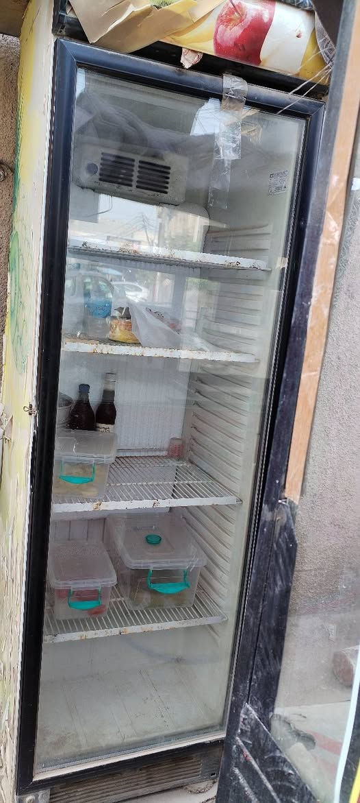 شغاله وتبريها فول بس الكشر يرادلها ترتيب 150 الف بغداد السبع ابكار ***********
