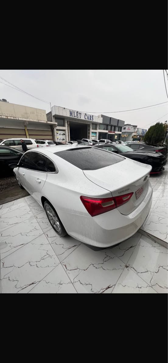 ماليبو 2023 وارد امريكي
موصفات LT معروف
بيهه نوص باب سبخ 
ارباك و دواخل. شه رت
كير و مكينه شه رت 65 ماشيه
سياره وضع شريكه 100‎%‎
كاتي يرقم شمال شرط رقم ابيع
سعر مناسب 127$ مجال بسيط
مكان زاخو واتساب *********** زاخو, دهوك
