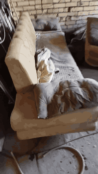 تخم للبيع السعر ١٠٠ قفل فحم  هذا كدامك العنوان دوره ابودشير ١٠ مقاعد  رقمي 
***********
