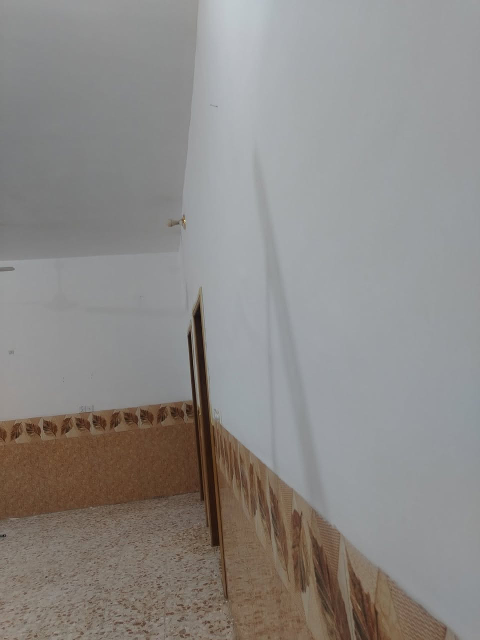 سلام عليكم ورحمة اني من كربلاء خلفه صبغ انسب السعار وشغل ٩٠ بل ١٠٠ نضيف معه هديه لبو بيت حاب يتصل ع رقم ***********
