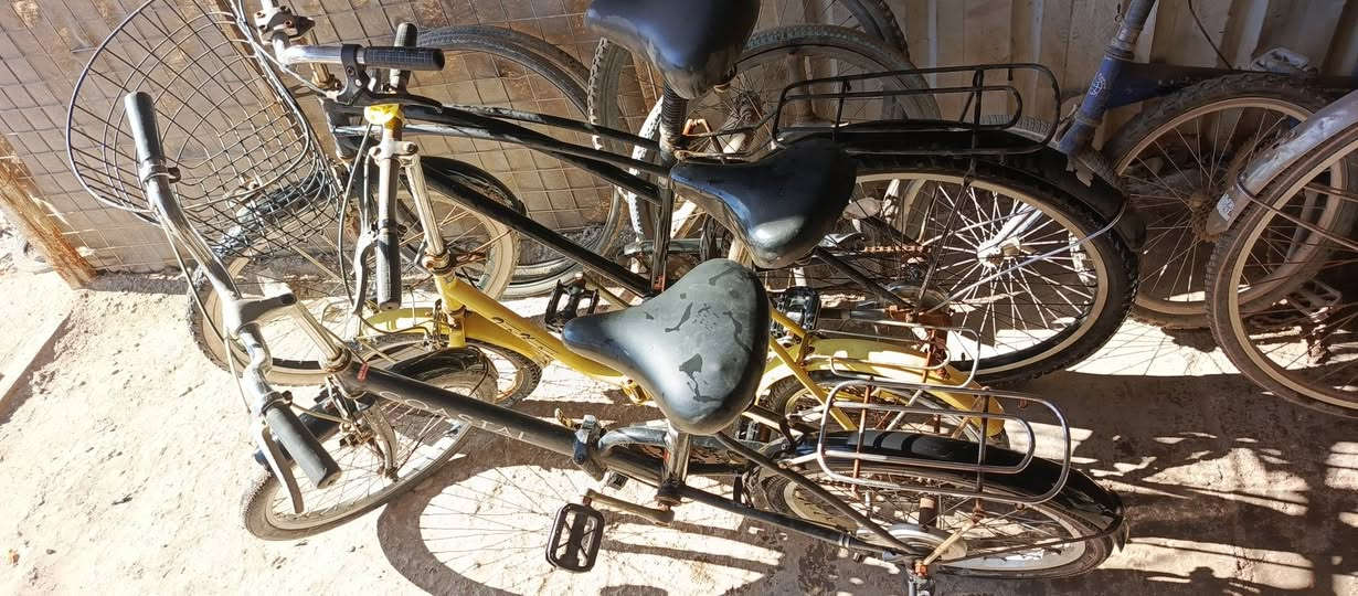 السلام عليكم بسكلات باله اصلي استعمال كلش قليل ونضيفات للبيع مكاني ديوانيه سنيه للستفسار اتصل وبيك خير وتدلل ***********
