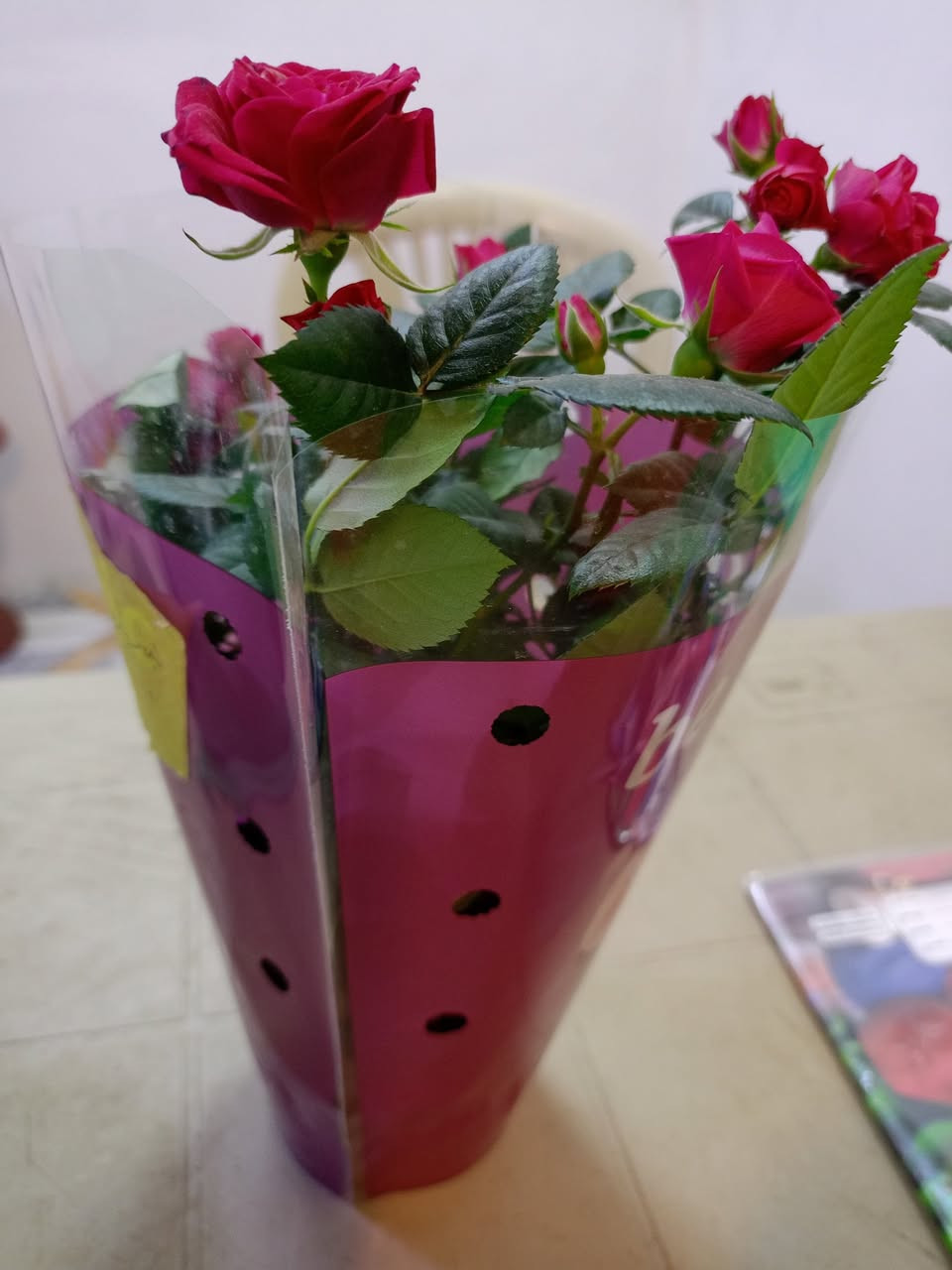 يتوفر لدينا انواع النباتات الظلية الطبيعية والسنادين والاشجار والورود الصناعية زورونا موقعنا الموصل السماح سايدين المشروع مقابل مجمع امورة للطلب يتوفر واتساب *********** أو مراسلة الصفحة جنات للنباتات الزينه
