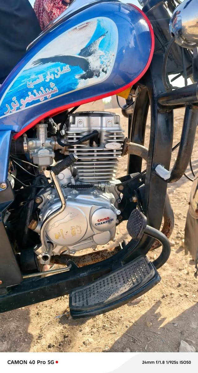 ستوته للبيع أوراق اصولي نوار الباشا موديل 23نضيفه 
السعر خاص رقمي ***********
