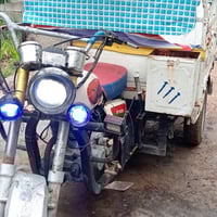 ستوتة ام الطير • بدون أوراق • الخالص