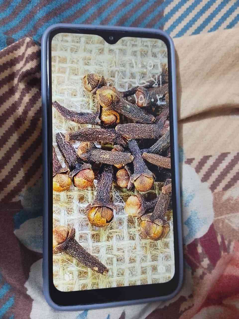 جهاز ريدمي 9 مستعمل نضافه 70% السعر 40


**إذا كنت صاحب هذا الإعلان وتريد حذفه لأي سبب، رجاءا أرسل رسالة إلى الدعم الفني**