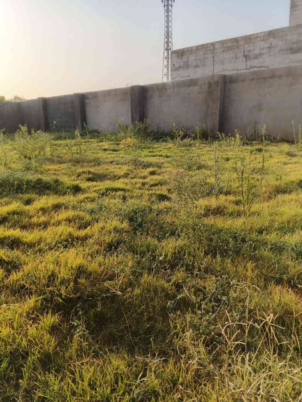 ماعليك فقط اتصل وتدلل
***********
