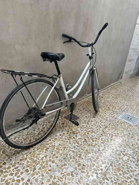 اسلام عليكم باسكل عبد الحليم حجم 26 لل بيع 25 قفلو فحم في فحم شراي تعال خاص مكان موصل حي الكرمه ***********
