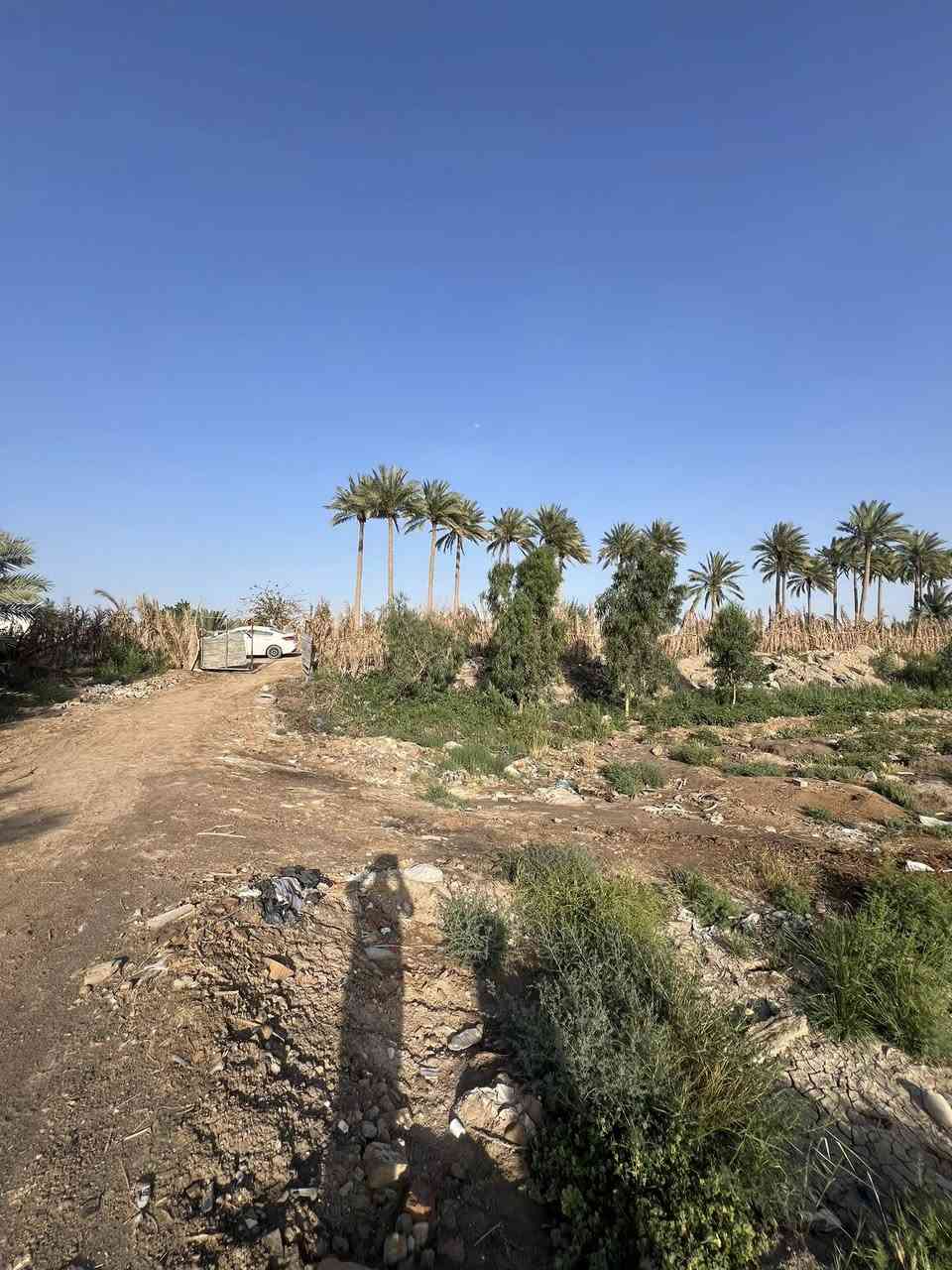 دونم لبيع الموقع الرداد ع الشارع العام للتواصل  او واتساب 
***********
