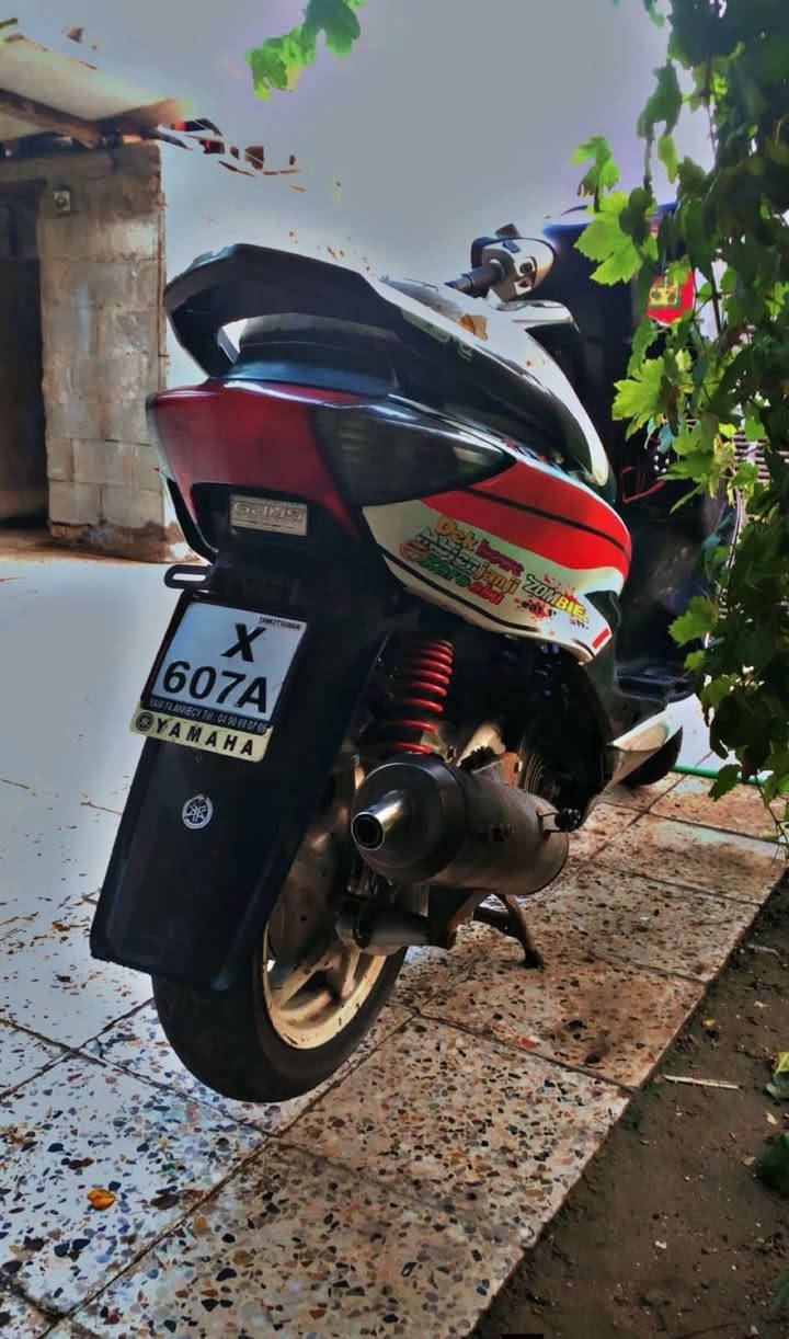 سلام عليكم صالنصه صجميه ام الوزه طكه وجعير جتي بل دراجه من رمبه وكلج خلفي رياضي مو بلاي مصبوغ مراوس بوري عدل ام بوز الازرك تجاريه


**إذا كنت صاحب هذا الإعلان وتريد حذفه لأي سبب، رجاءا أرسل رسالة إلى الدعم الفني**