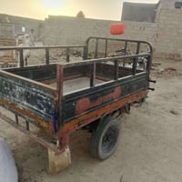 ستوتة • ٢٠١١ • عفك