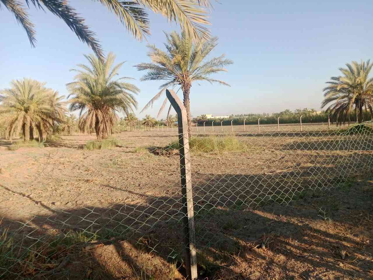 ارض زراعيه 4دونم للبيع
سند ٢٥ مسجل بالطابو المحموديه
تحويل مباشر
كافه الخدمات .ماء . كهرباء
يبعد عن التبليط ٢٠٠ متر 
شارع سبيس جديد لحد التبليط
مكان اليوسفيه بئر الحمام قرب مدرسه الفاضل 
سعر الدونم 70 مليون وبي مجال
***********
