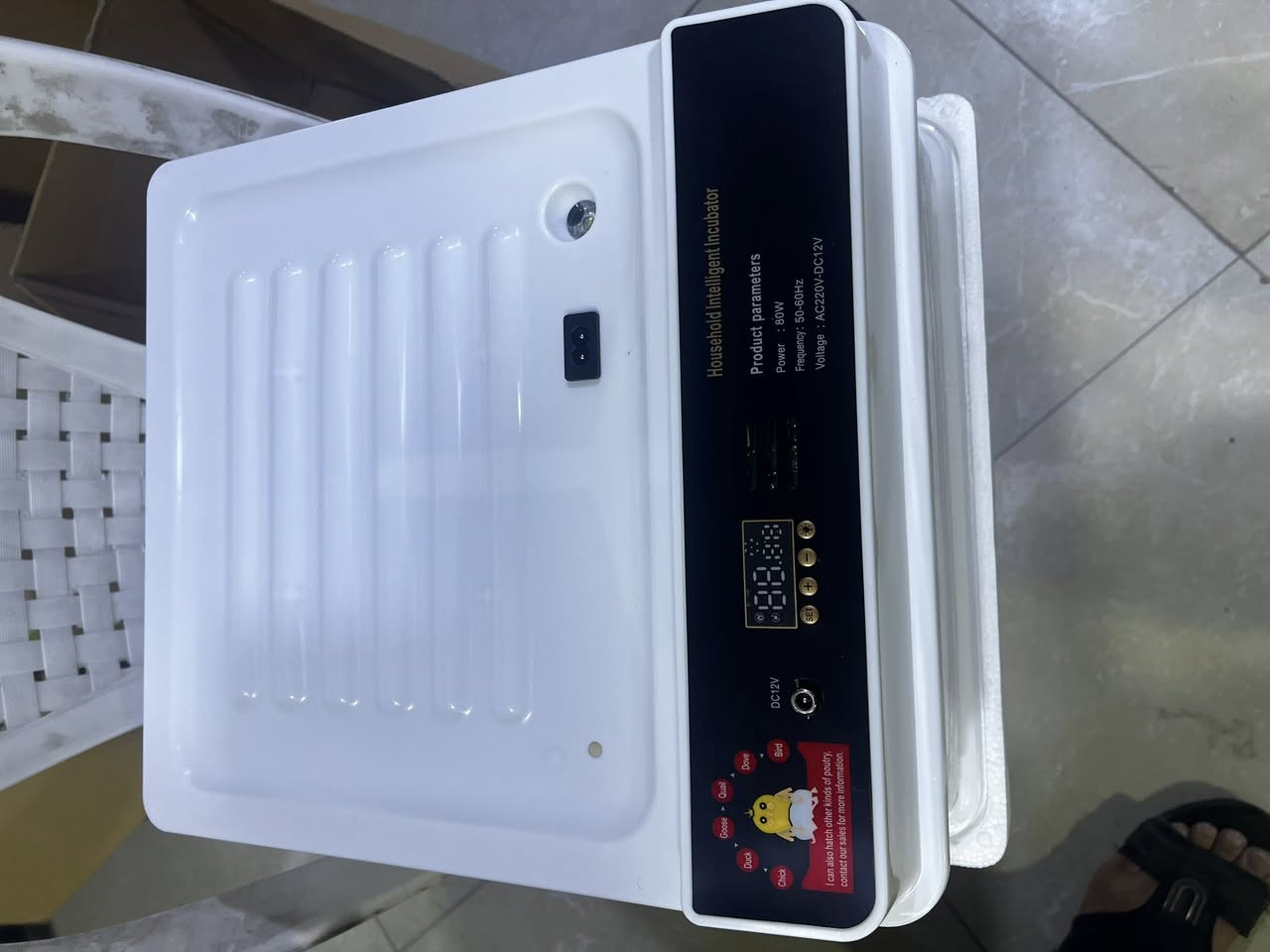 فقاسة بيض بهذا الشكل للبيع ،،، شاهد الفيديو ،،، تاخذ 70 بيضه للبيع


**إذا كنت صاحب هذا الإعلان وتريد حذفه لأي سبب، رجاءا أرسل رسالة إلى الدعم الفني**