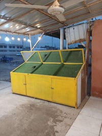 ميوز مال مخضر للبيع سعرهم 500  الف الاتصال على الرقم 07705952271