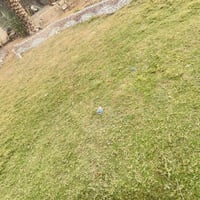 الدخانية • دونم • دارين