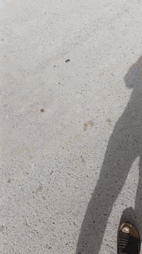 السلام عليكم قطعة أرض للبيع مساحة 100متر منطقة خدمات مصقط قرب مدرسة رام الله كدامه ساحه  سعره 25وبيه مجال لاستفسار الاتصال على الرقم ***********
