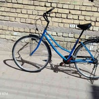 باسكل بطه • نضيف • جديد