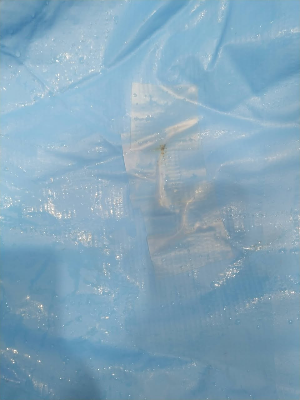 مسبح جديد اخذناه وطلع جبير وطخ بلحايط وانزرف اخذته ب٥٠ ابيعه ٣٥ مكان شعله


**إذا كنت صاحب هذا الإعلان وتريد حذفه لأي سبب، رجاءا أرسل رسالة إلى الدعم الفني**