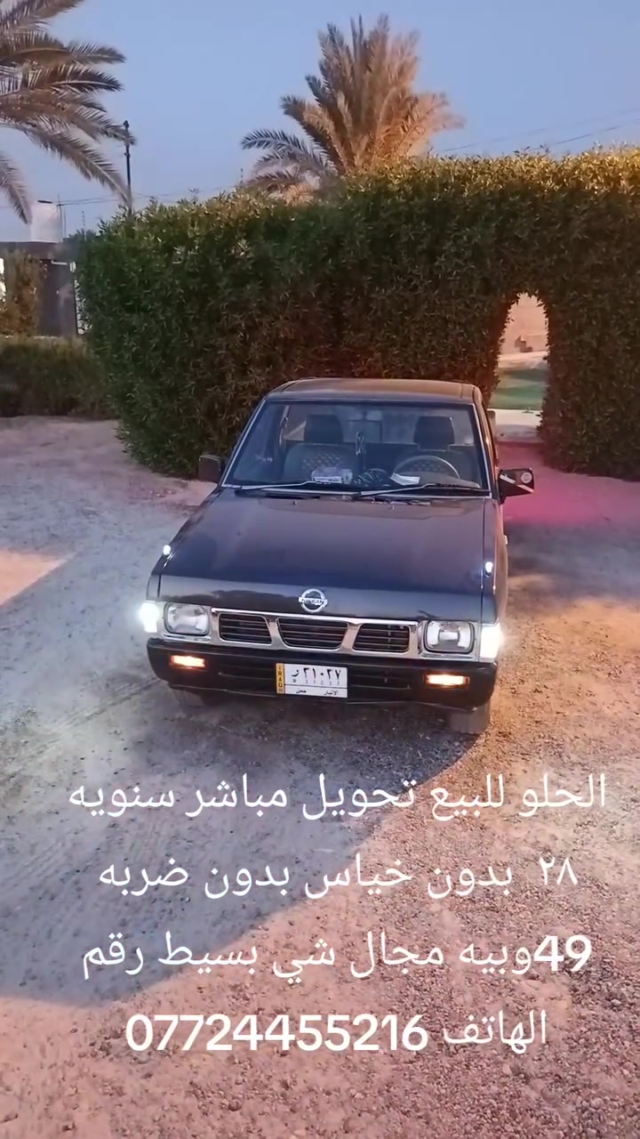 الحلو للبيع تحويل مباشر سنويه ٢٨  بدون خياس بدون ضربه 49وبيه مجال شي بسيط رقم الهاتف ***********
