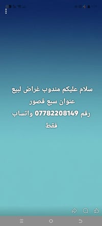 مندوب بيع • بيع أغراض • سبع قصور