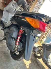 سكنس فحل • سلف • معدل