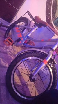 باسكل • جديد • للبيع