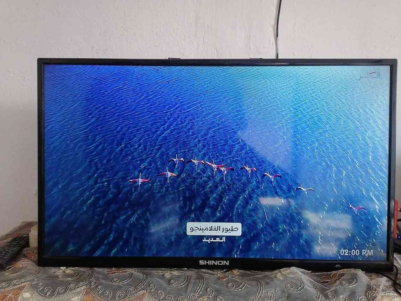 بلازما حجم 32 نوع شينون الاصلي صورته ولا غلطه بدون نت قفل 70 عنواني كربلاء حي النقيب ***********بلازما حجم 32 نوع شينون الاصلي صورته ولا غلطه بدون نت  70 عنواني كربلاء حي النقيب ***********
