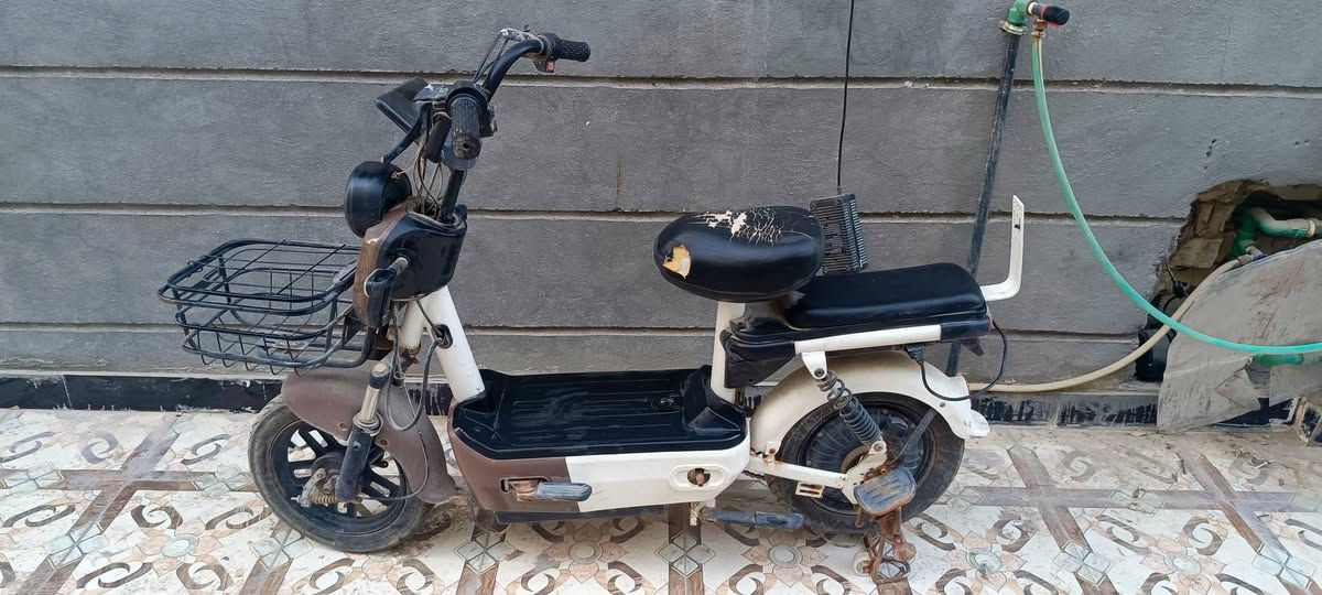 دراجة شحن للبيع عطل بسيط


**إذا كنت صاحب هذا الإعلان وتريد حذفه لأي سبب، رجاءا أرسل رسالة إلى الدعم الفني**