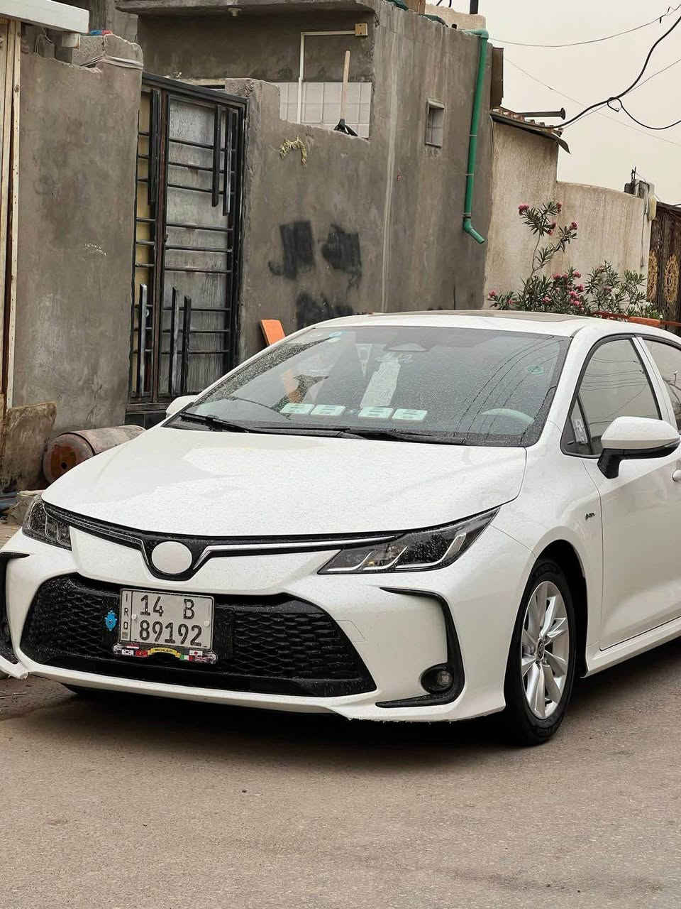 سلام عليكم كورلا ٢٥كفاله عامه حره بسمي رقم بصره ماشيه ٢٥العنوان بصره المعقل  إسكان الموانئ 
السعر١٥٤ وبيها مجال قليل 
0770815356 البصرة, العراق


**إذا كنت صاحب هذا الإعلان وتريد حذفه لأي سبب، رجاءا أرسل رسالة إلى الدعم الفني**