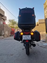 بوكسر جبلي • ٢٠٢٣ • نضيف