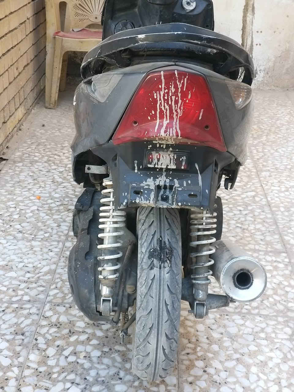 ماكس ثعلب سعر على خاص


**إذا كنت صاحب هذا الإعلان وتريد حذفه لأي سبب، رجاءا أرسل رسالة إلى الدعم الفني**