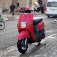 ماكس بوليس • كفالة عامة • شهداء سيف سعد