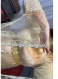 جل كردي • حتى ١٧٥سم • دربندخان