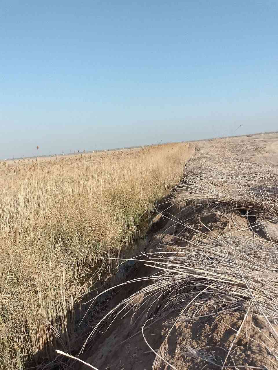 17دونم لبيع
#ماي وكهرباء موجود

لأرض طابو مداور 

في الهلال على طريق المجد نزلة سيد احمد تبعد عن الشارع العام كيلوين ونص الها نزلة سبيس 

سعر الدونم مليون و 200 الف  مستعجل ع بيعتها

الشراي يراسلني خاص


**إذا كنت صاحب هذا الإعلان وتريد حذفه لأي سبب، رجاءا أرسل رسالة إلى الدعم الفني**