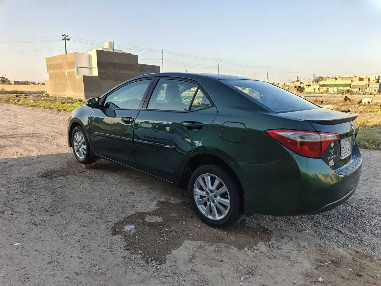 سلام عليكم
سيارة كورلا موديل 2014 بيهة صبغ جاملغين فقط وبيهة تبديل فقط بنيد بدون دواخل سيارة جاهزة من كلشي كير ومكينة وتبريد ثلج تراي وين ميعجبك صدر خير من الله سيارة مال جناي 
رقم بغداد تحويل مباشر تخم تاير تكم لغود شواصي حوض كفالة للبيع أو مراوس حسب القناعة مكاني بغداد السعر 98 وبيهة مجال
الشراي يخابر وإني بخدمتة وهاذا رقمي ***********
