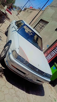 مارك نفخ مكفوله من الكص والعيب الشرعي ورسميات رقم انبار مداور ثاني يوم...