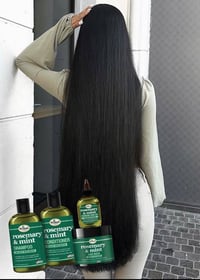 ديفيل روزماري • أصلي امريكي • علاج تساقط الشعر