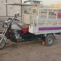 ستوته • موديل 10 • مكفولة