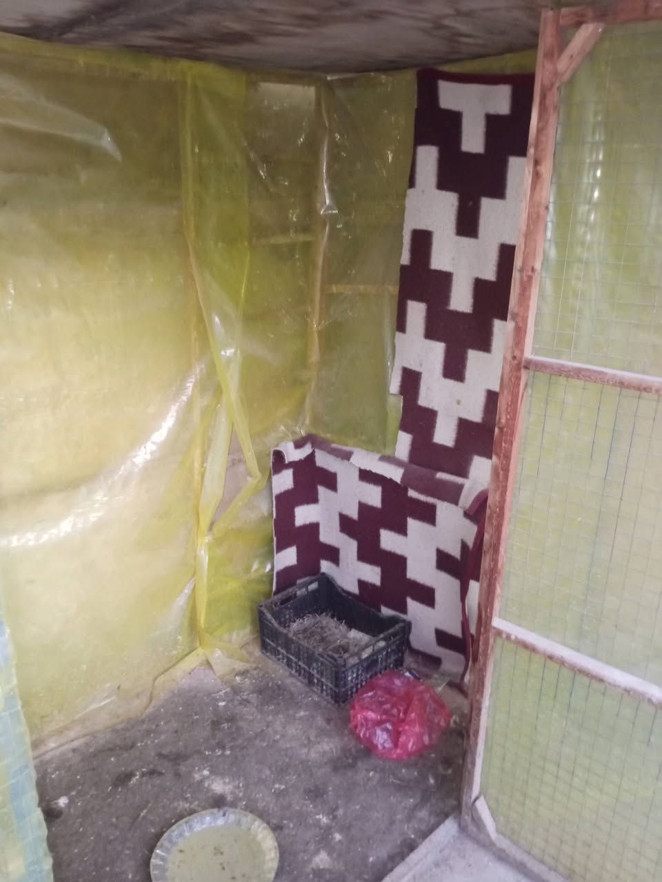 ا
اسلام عليكم شلونك اخوتي اكو قفص للبيع قيم او اخذ المكان بغداد الحرية دور الشؤون الرقم للستفسار *********** امير
