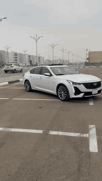 اسلام عليكم
كديلاك  اي تي اس 
موديل ٢٠٢١ رقم بغداد انكليزي 
هزه جديده سنويه لل ٢٠٢٩ 
السياره بأسمي 
ماشيه ٥٠ الف كيلو 
مكينه ٢٠٠٠ تيربو 
مكينه كير  كفاله حداديه ٧٠ ٪ 
فول مواصفات بصمه ٢فتحة سقف تشغيل عن بعد 
رادار امامي خلفي تحديد مسار ومواصفات كامله 
السعر ١٧٥$ومجال قليل  مكان السياره كربلاء 
*********** 
***********
