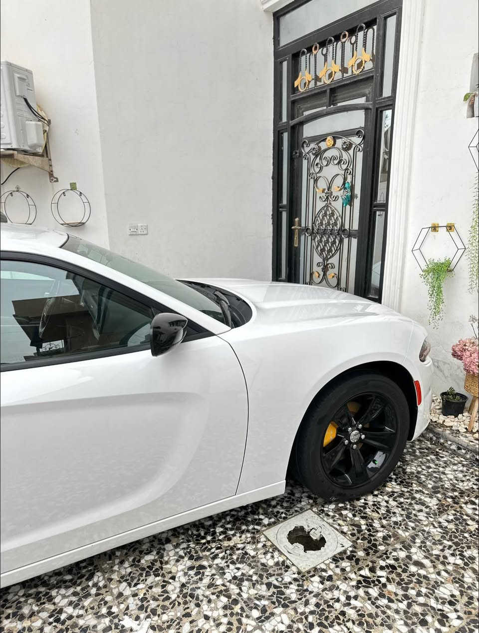 سلام عليكم للبيع ويل 18 مع تخم تاير انتاج 24 مكفول من زلغ  اصلي لاعواج ولاتصليح سعر 650 الف وبي محال لطيبين عنوان بابل مركز للاستفسار خاص حلة, بابل


**إذا كنت صاحب هذا الإعلان وتريد حذفه لأي سبب، رجاءا أرسل رسالة إلى الدعم الفني**