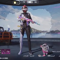 موصل سهل نينوى • حساب ببجي • عشيرة مستوى ٥