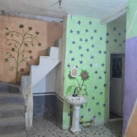 بيت بلجاير • ٥٠م • خلفي